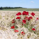 Σπίτι διακοπών 8554-grenaa-bertavej-25