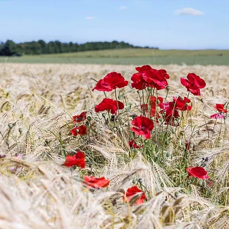 8554-grenaa-bertavej-25 *