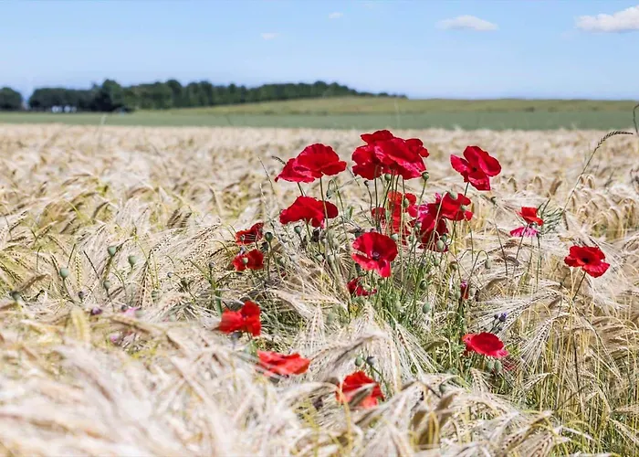 8554-grenaa-bertavej-25 *